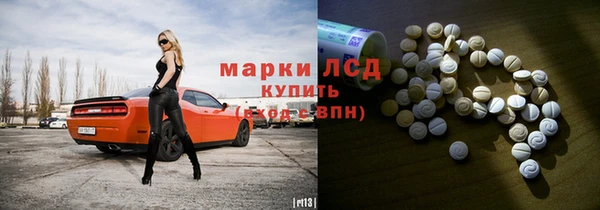 ПСИЛОЦИБИНОВЫЕ ГРИБЫ Баксан