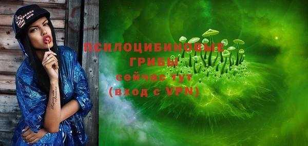гидра Балахна
