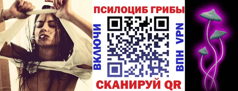 Псилоцибиновые грибы MAGIC MUSHROOMS  мега tor  Томари 