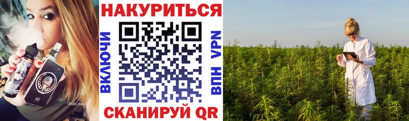 Шишки марихуана семена  что такое   Томари 
